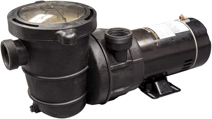 Blue Torrent 1 HP 2 Speed Maxi Pump – Dual Port Pool Pump - Image 2
