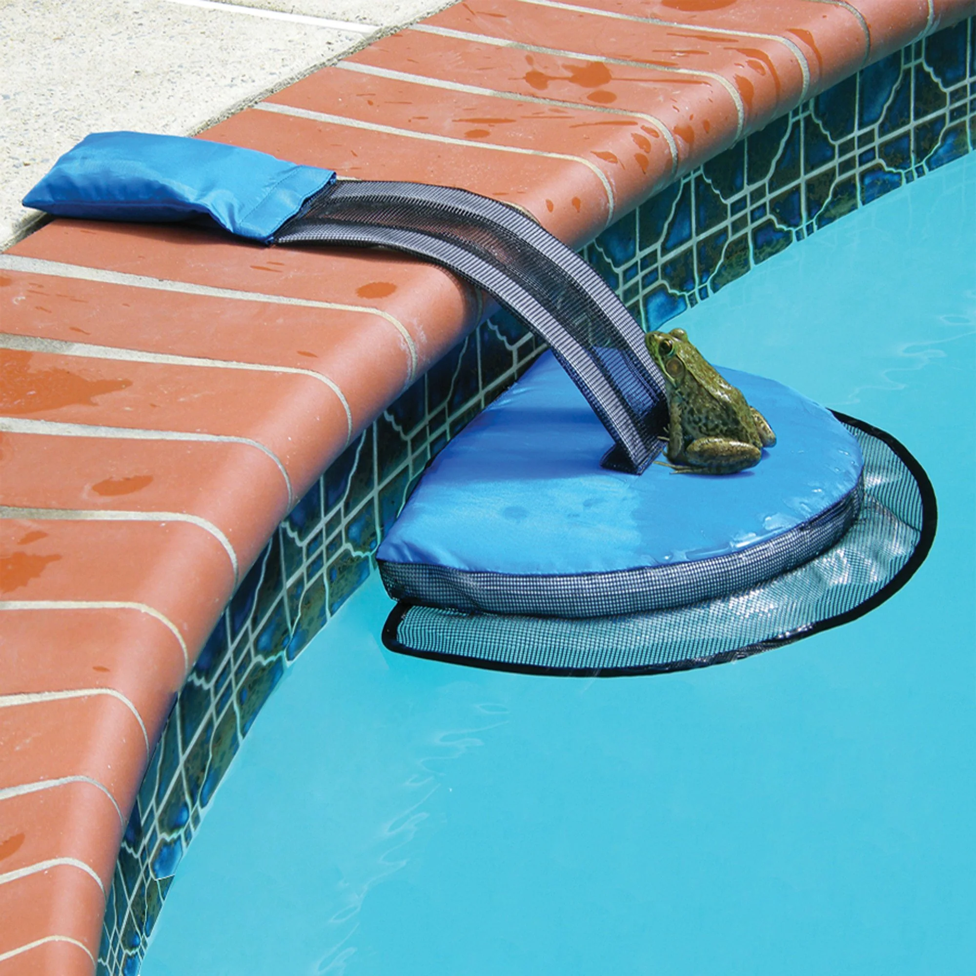 Swimline FrogLog Pool Critter Escape Ramp 70200 - Image 2