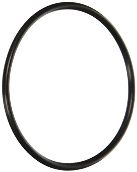 Replacement Part AC 32824 - PSP Pump Diffuser O-Ring